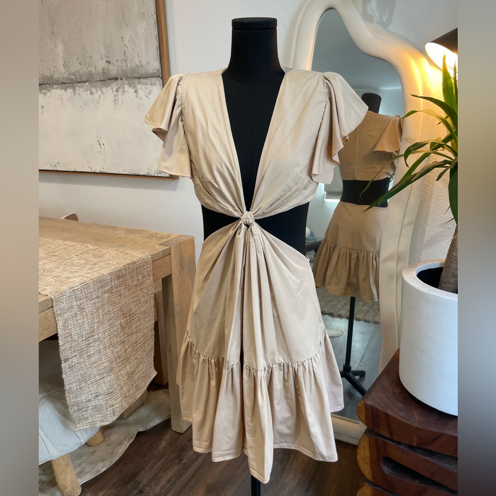 Charina Sarte Poplin Cutout Mini Dress With Pockets